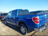 FORD F-150 FX4/KING RANCH/LARIAT/PLATINUM/XL/XLT 1FTPW14V59KC52255 photo