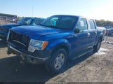 FORD F-150 FX4/KING RANCH/LARIAT/PLATINUM/XL/XLT 1FTPW14V59KC52255 fotografie