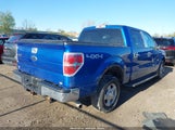 FORD F-150 FX4/KING RANCH/LARIAT/PLATINUM/XL/XLT 1FTPW14V59KC52255 fotografie