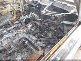 CHEVROLET SILVERADO 1500 Z71 2GCEK13T251164325 photo