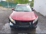 HONDA ACCORD CROSSTOUR EX-L 5J6TF2H50BL001278 photo