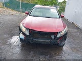 HONDA ACCORD CROSSTOUR EX-L 5J6TF2H50BL001278 снимка