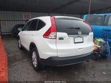 HONDA CR-V EX 5J6RM4H54EL040066 снимка