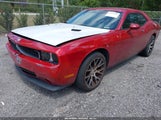 DODGE CHALLENGER SE 2B3CJ4DV0AH208286 fotografie