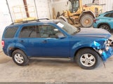 FORD ESCAPE XLT 1FMCU0DG8CKC21567 fotografie