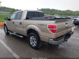 Ford F-150 Xlt 1FTFW1ET9DKE61063 снимка