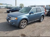 FORD ESCAPE LIMITED 1FMCU9EG2AKD38433 снимка