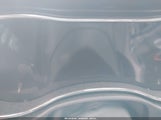 Miniaturka zdjęcia 7