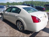 NISSAN MAXIMA 3.5 SE 1N4BA41E24C882953 снимка