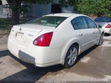 NISSAN MAXIMA 3.5 SE 1N4BA41E24C882953 снимка