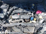 SUBARU FORESTER 2.5I LIMITED JF2SJAJC1EH406383 снимка