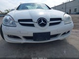 MERCEDES-BENZ SLK 280 WDBWK54F46F099992 снимка