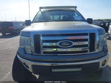 FORD F-150 XLT 1FTEW1E80AFA43583 снимка