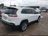 JEEP CHEROKEE LATITUDE PLUS FWD 1C4PJLLB3KD151355 fotografie