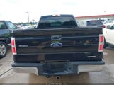 FORD F-150 XL 1FTMF1CM9DFA89820 снимка