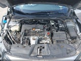 HONDA CIVIC LX 2HGFC2F6XLH600258 снимка