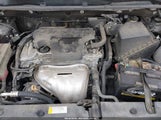 TOYOTA RAV4 LE 2T3BFREV8HW667907 снимка