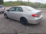 TOYOTA COROLLA LE 2T1BU4EE0BC613074 снимка