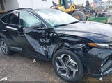 HYUNDAI TUCSON LIMITED 5NMJECAE5PH224697 снимка