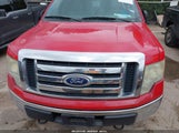 FORD F-150 XL/XLT 1FTEW1E81AFC63959 fotografie