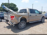 FORD F-150 XLT 1FTFW1ETXDKF25269 photo