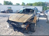 Miniaturka zdjęcia 2