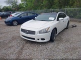 NISSAN MAXIMA 3.5 SV 1N4AA5APXBC824072 снимка