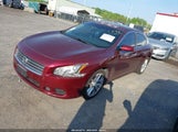 NISSAN MAXIMA 3.5 S 1N4AA51E19C841383 снимка