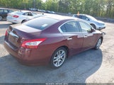 NISSAN MAXIMA 3.5 S 1N4AA51E19C841383 снимка