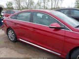 HYUNDAI SONATA SPORT 5NPE34AFXFH202816 fotografie