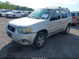 FORD ESCAPE LIMITED 1FMYU94115KA77658 снимка