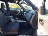 FORD ESCAPE XLT 1FMCU9DG0BKC49589 fotografie