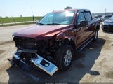 Ford F-150 Xlt 1FTEW1EG1HKD23490 снимка