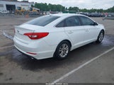 HYUNDAI SONATA SE 5NPE24AF7HH556136 снимка