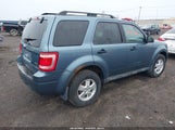 FORD ESCAPE XLT 1FMCU0DG3AKD43766 снимка