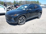HYUNDAI TUCSON LIMITED 5NMJECAE3PH191604 снимка