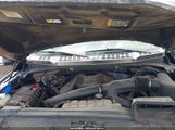 Ford F-150 King Ranch 1FTEW1E43LFA80224 снимка