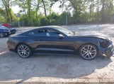 FORD MUSTANG ECOBOOST 1FA6P8THXF5425359 снимка
