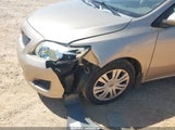 TOYOTA COROLLA XLE 1NXBU40E19Z065862 снимка