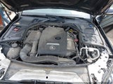 MERCEDES-BENZ C 300 4MATIC/LUXURY 4MATIC/SPORT 4MATIC 55SWF4KBXFU040013 fotografie