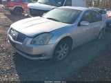 NISSAN MAXIMA 3.5 SL 1N4BA41E85C844984 снимка