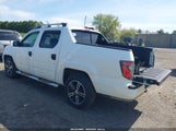 HONDA RIDGELINE SPORT 5FPYK1F7XDB012713 снимка