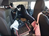 KIA SPORTAGE LX KNDPMCAC1L7832469 снимка