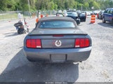 FORD MUSTANG V6 DELUXE/V6 PREMIUM 1ZVHT84N085143542 fotografie