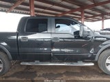 FORD F-150 FX4/HARLEY-DAVIDSON/KING RANCH/LARIAT/PLATINUM/XL/XLT 1FTFW1EV7AKA26216 photo