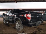 FORD F-150 FX4/HARLEY-DAVIDSON/KING RANCH/LARIAT/PLATINUM/XL/XLT 1FTFW1EV7AKA26216 photo