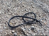 SUBARU IMPREZA 2.0I SPORT PREMIUM JF1GPAP61G9278685 снимка