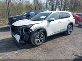 NISSAN ROGUE SV INTELLIGENT AWD JN8BT3BB9PW476873 photo