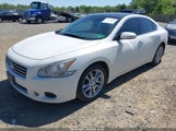 NISSAN MAXIMA 3.5 SV 1N4AA5AP0AC864580 снимка