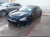 NISSAN MAXIMA 3.5 SV 1N4AA5AP3BC806562 снимка